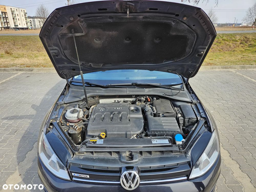 Volkswagen Golf - 12