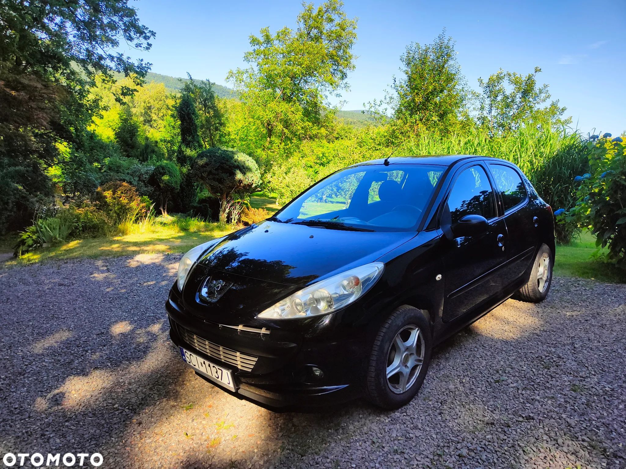 Peugeot 206 - 1