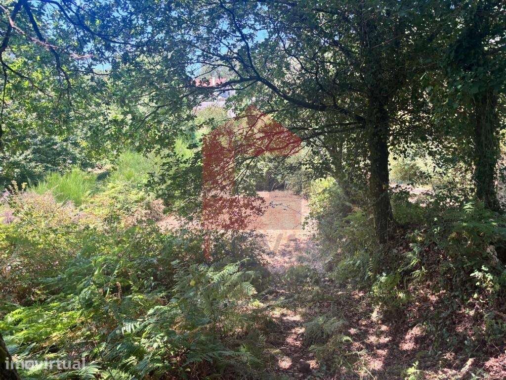 Terreno agrícola, Duas Igrejas - Grande imagem: 5/19