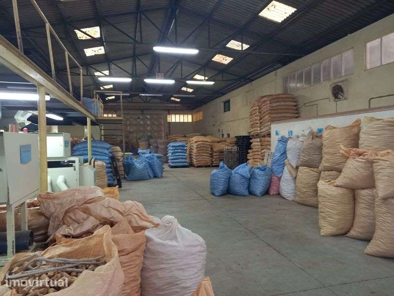 Armazém Industrial com Licença Ativa | Lourosa (Santa Maria da Feira) - Grande imagem: 3/6