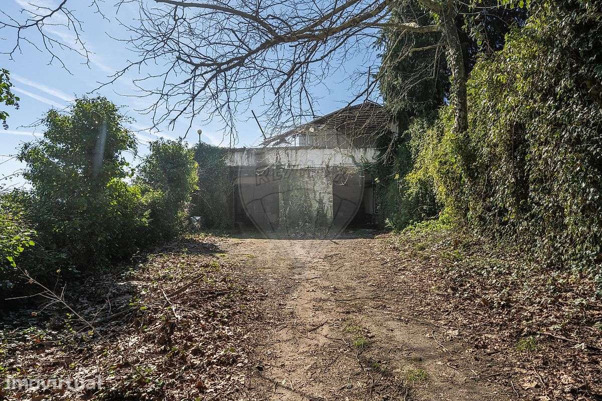 Armazém T3 para venda - Grande imagem: 2/22