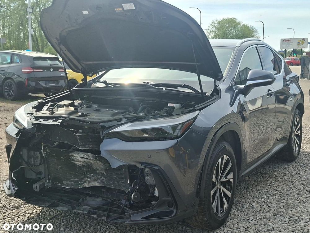 Lexus NX - 6