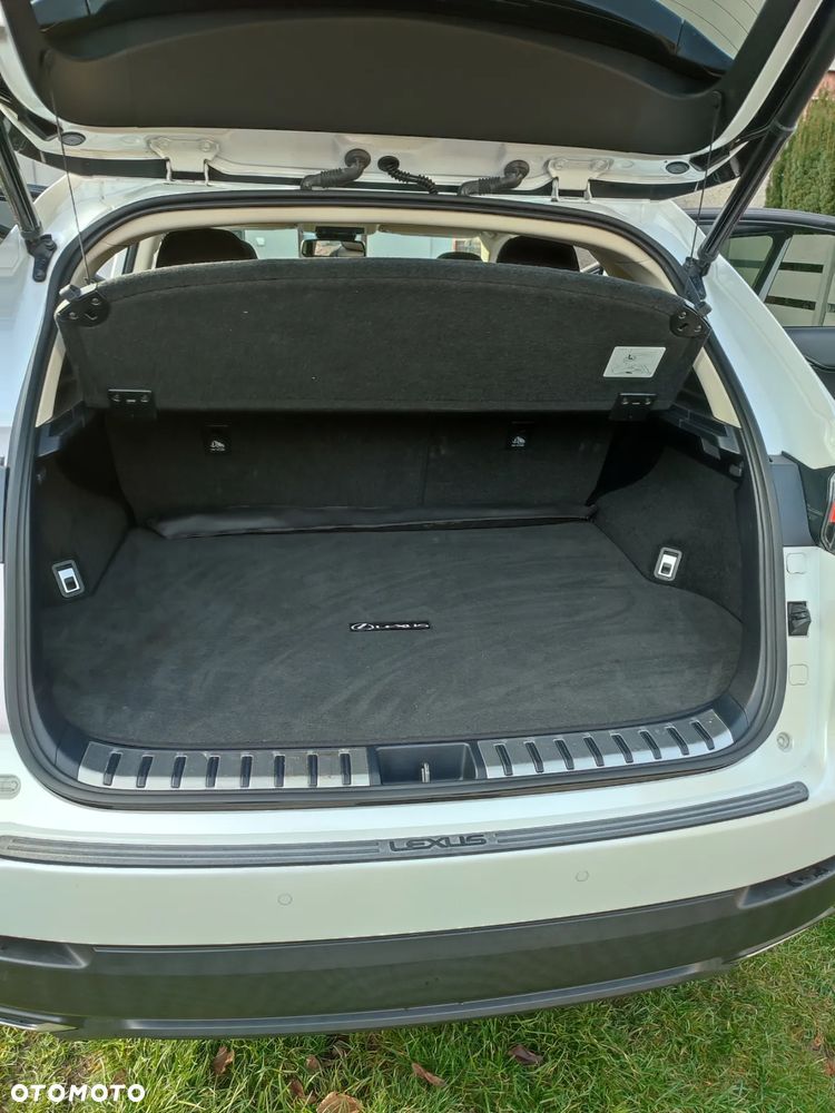 Lexus NX 300 - 21