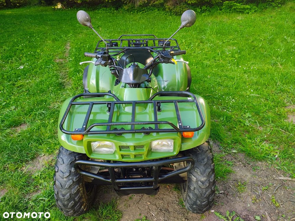 Kawasaki Brute Force - 9