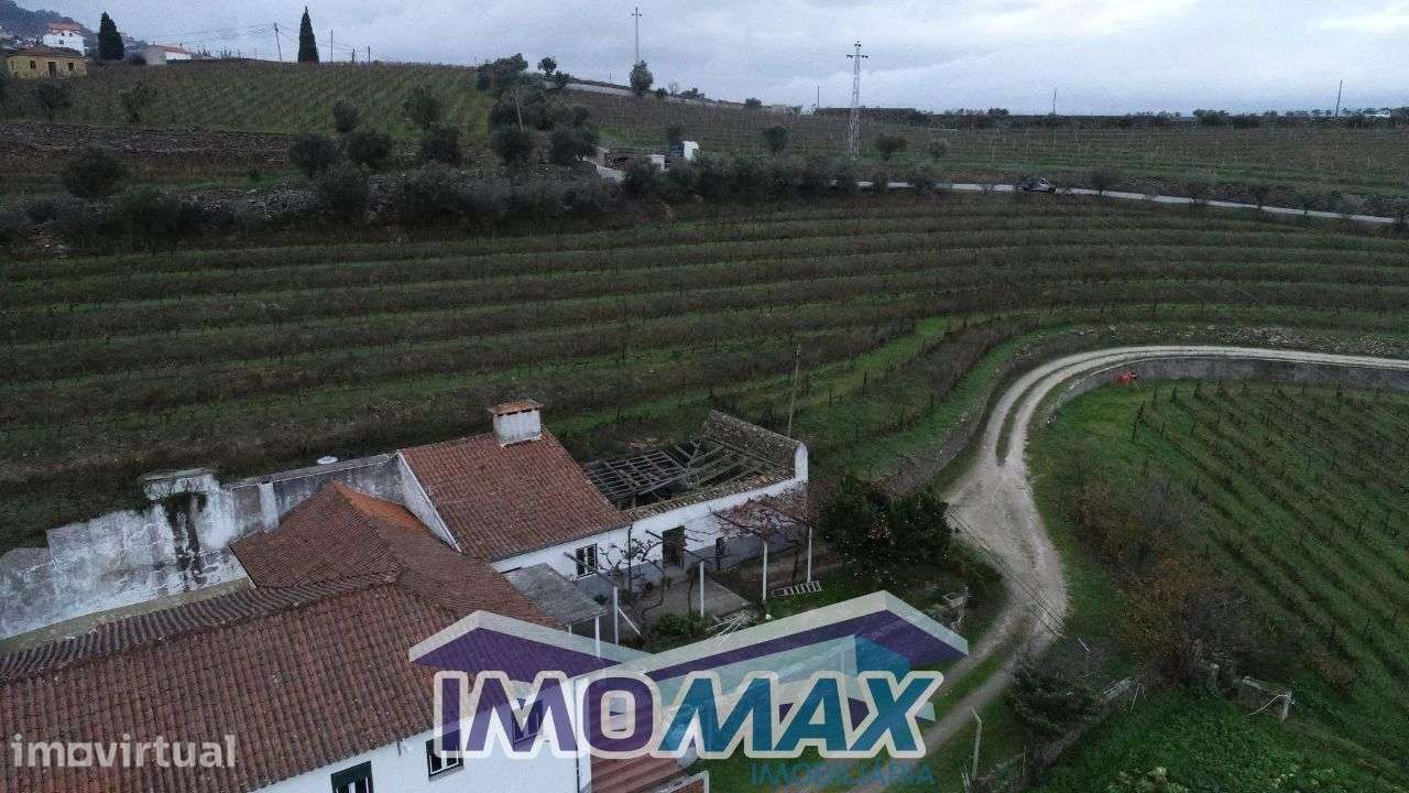Quinta do Viso - Fontelas, Peso da Régua - Grande imagem: 4/26