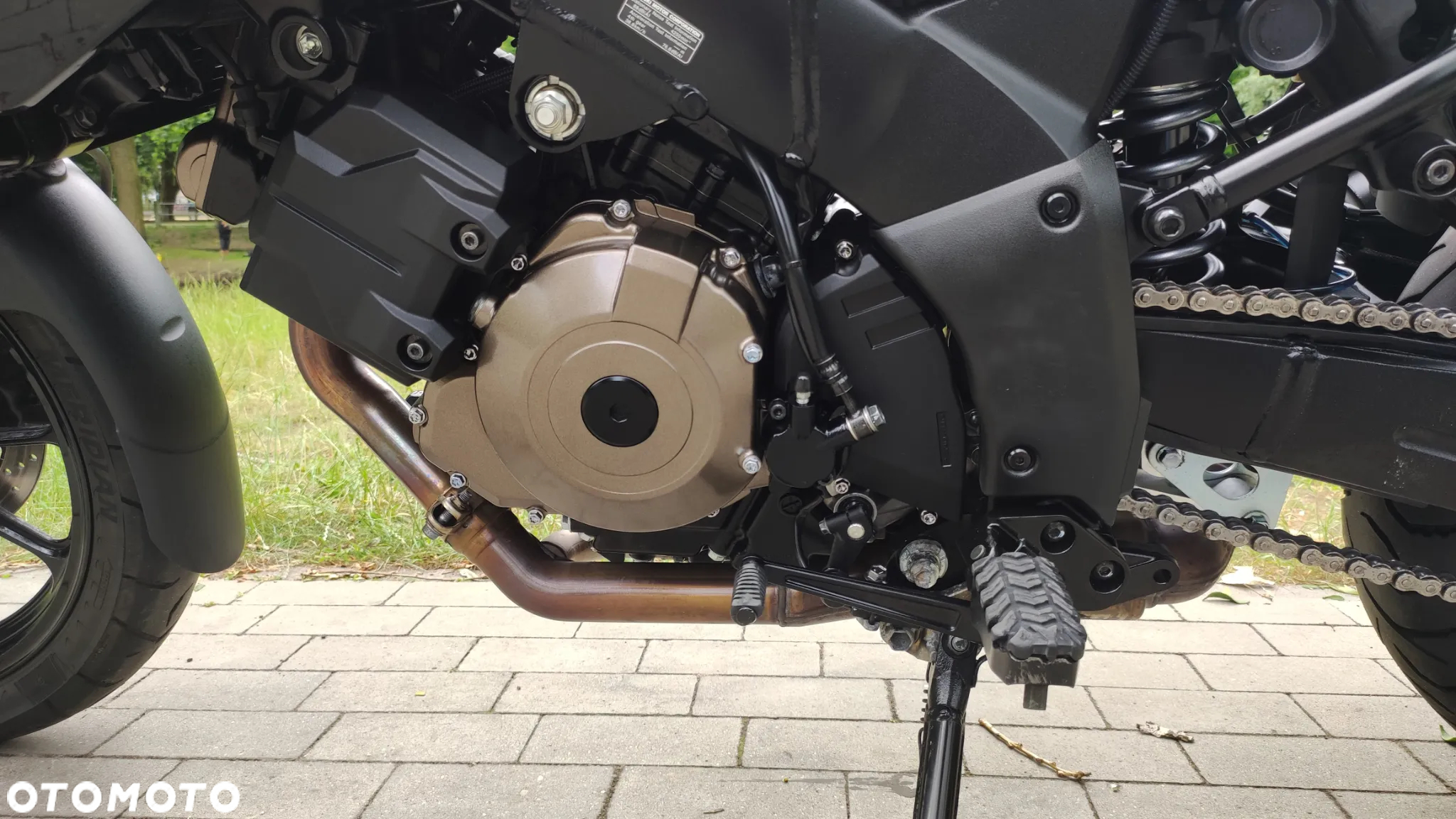 Suzuki V-STROM - 19