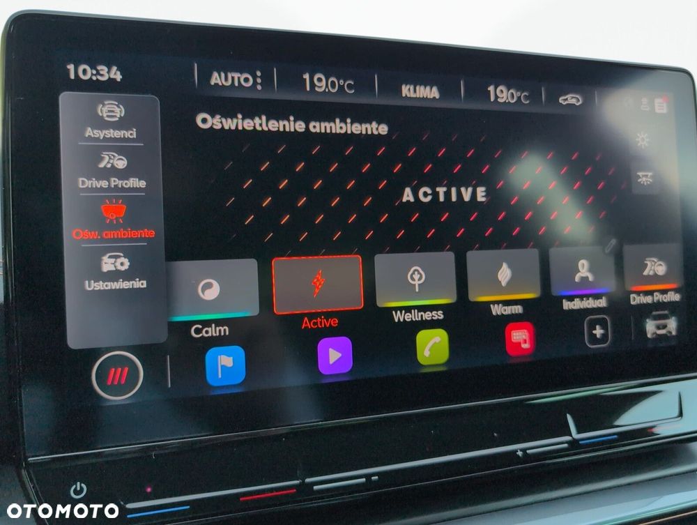 Cupra Formentor 2.0 TSI 4Drive VZ DSG - 32
