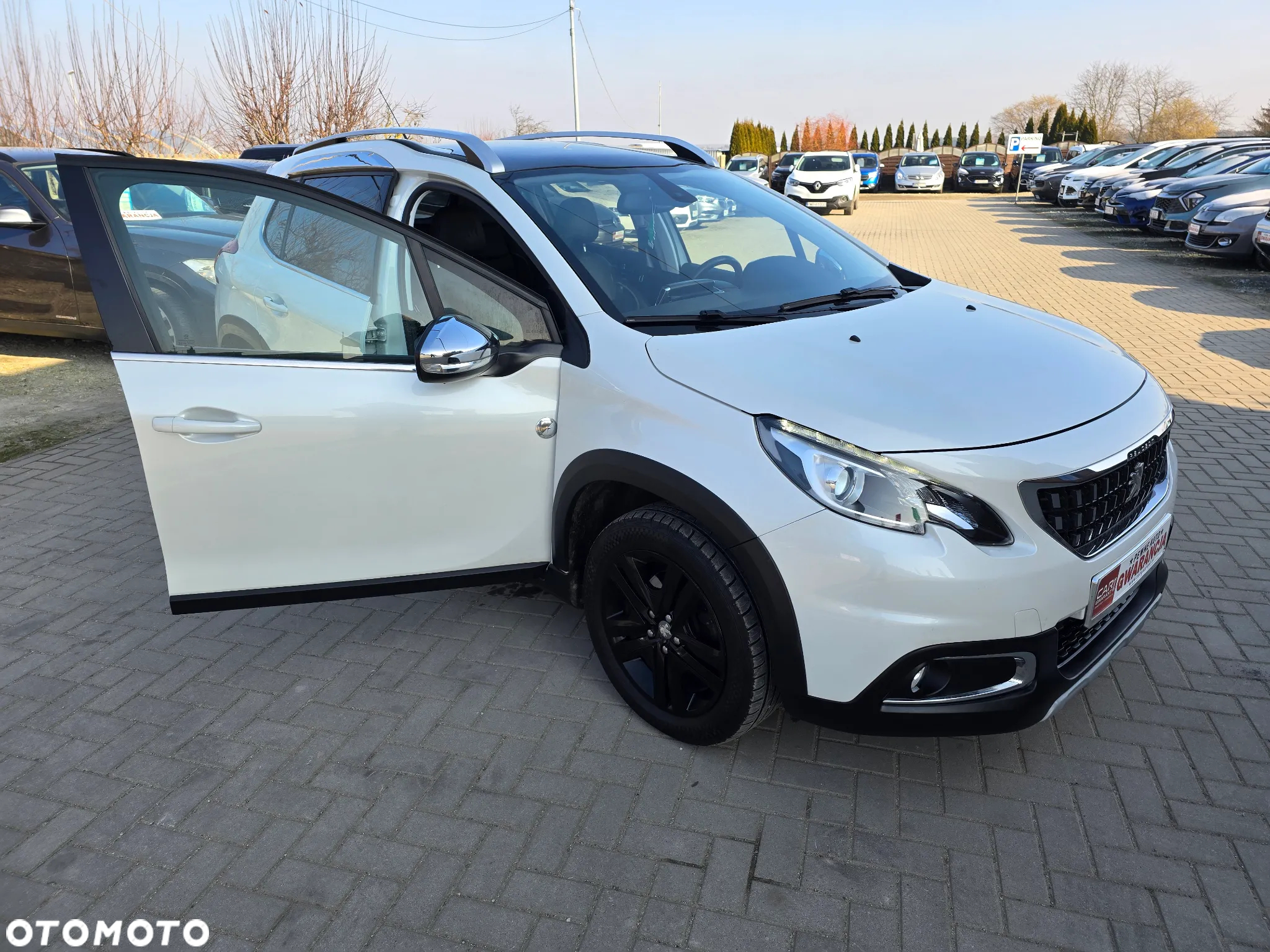 Peugeot 2008 - 22