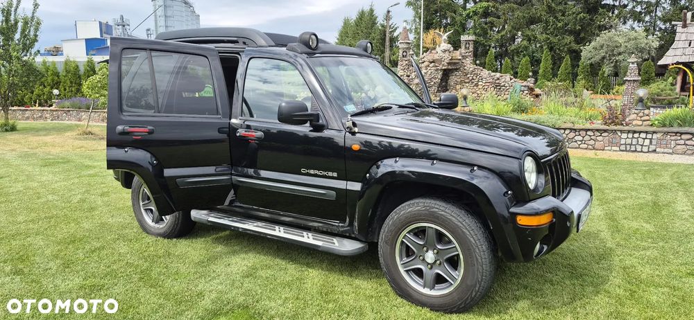Jeep Renegade - 1
