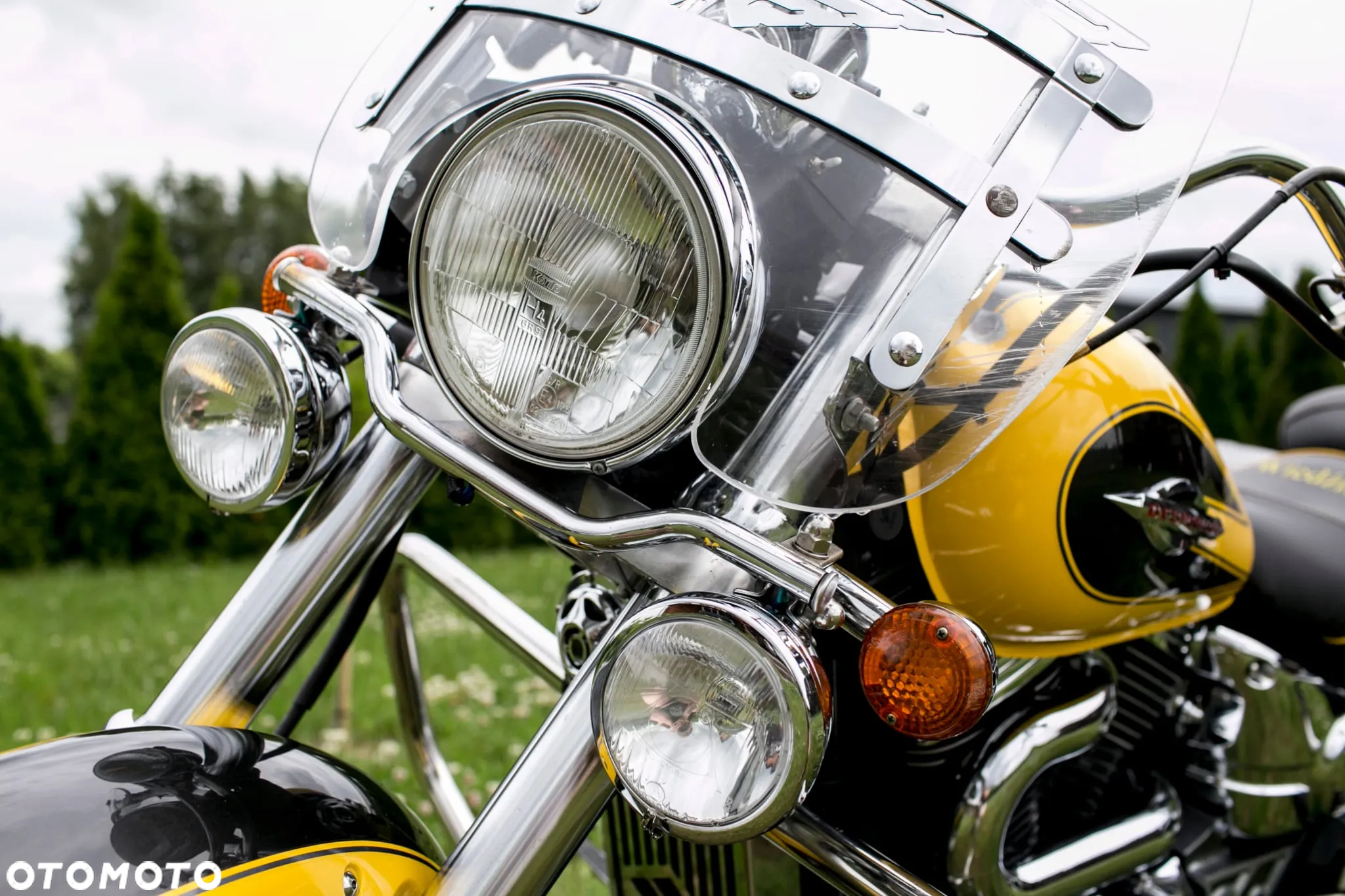 Suzuki VZ - 13