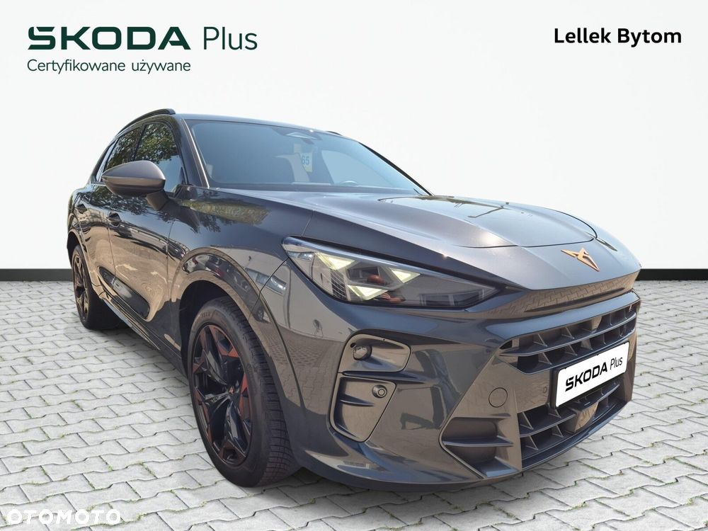 Cupra Terramar - 5