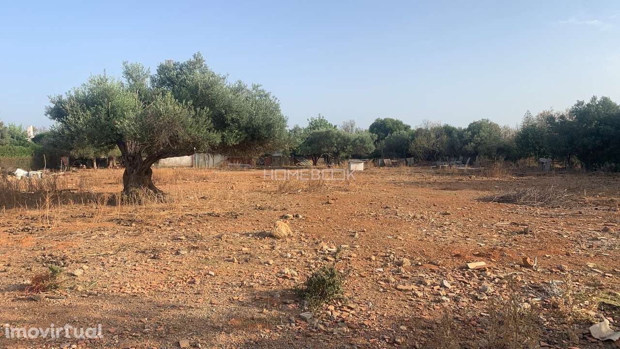 Terreno Agricola c/ 5.580m2 - Grande imagem: 2/8