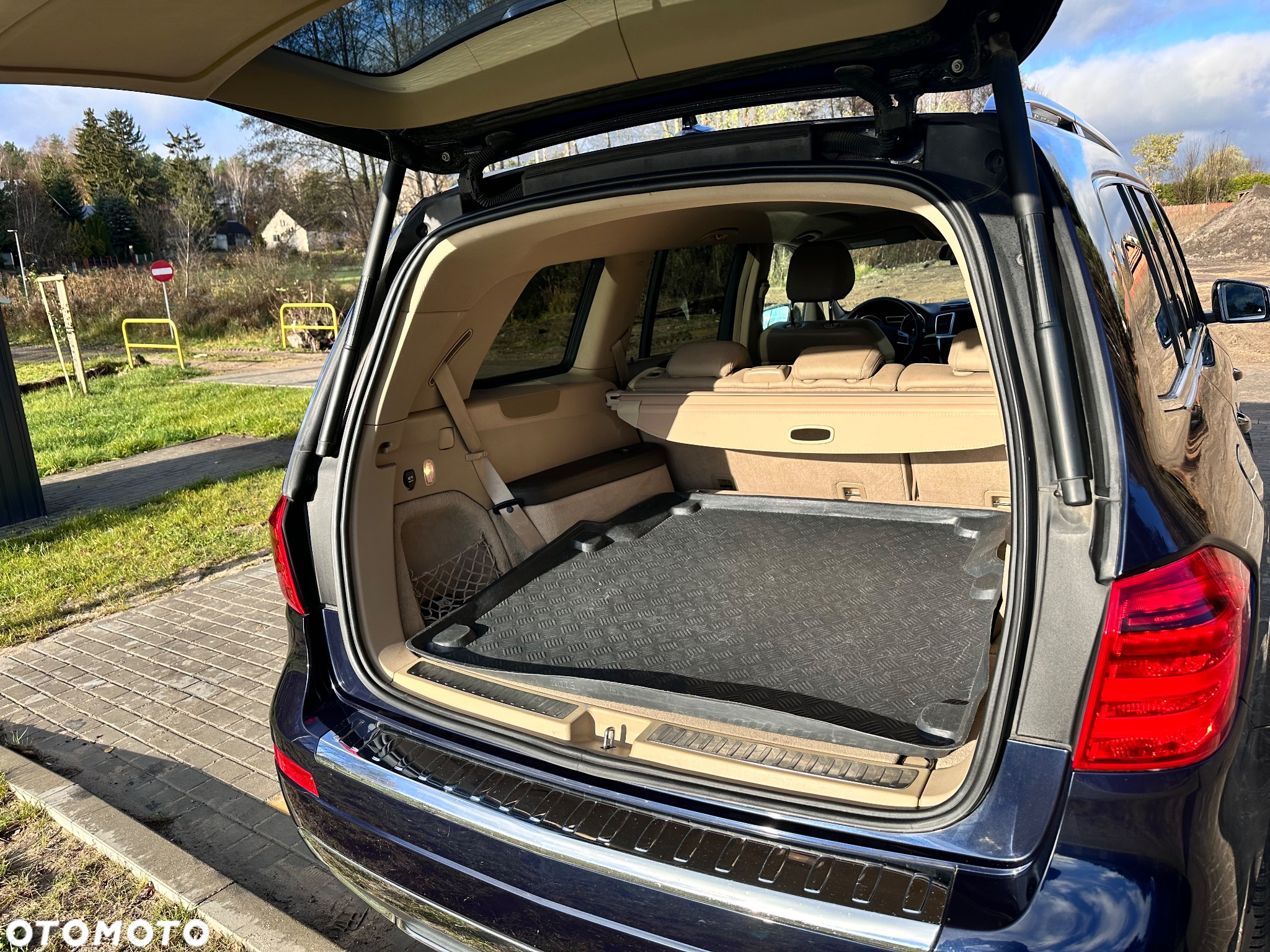 Mercedes-Benz GL 350 BlueTEC 4Matic 7G-TRONIC - 20