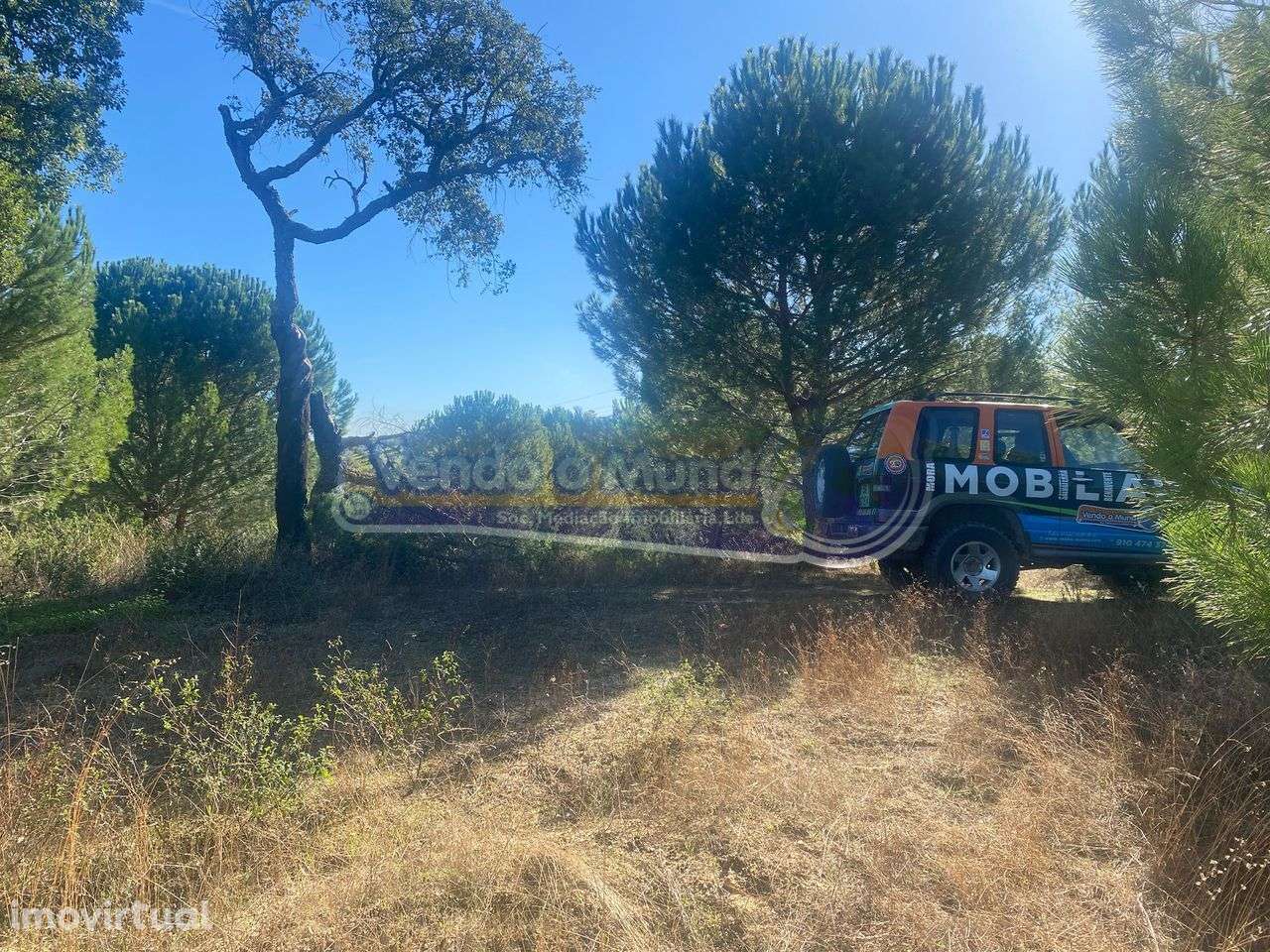 Terreno em Montargil (MTG002) - Grande imagem: 2/8