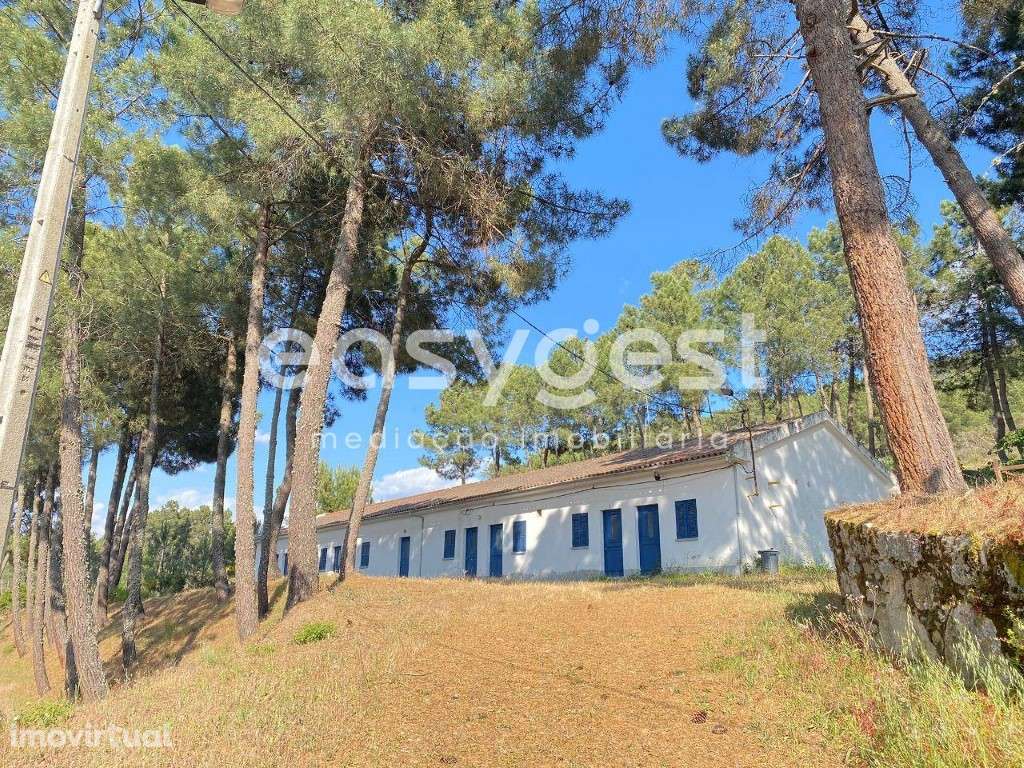 Magnifica Quintinha situada no coração do douro ideal para turismo - Grande imagem: 2/18