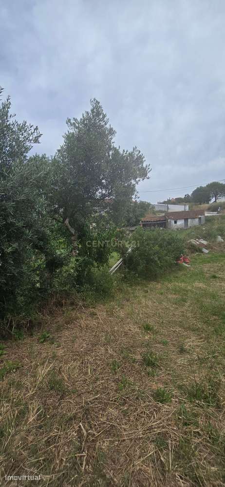 Terreno Urbano com 540 mt2 - Grande imagem: 5/28