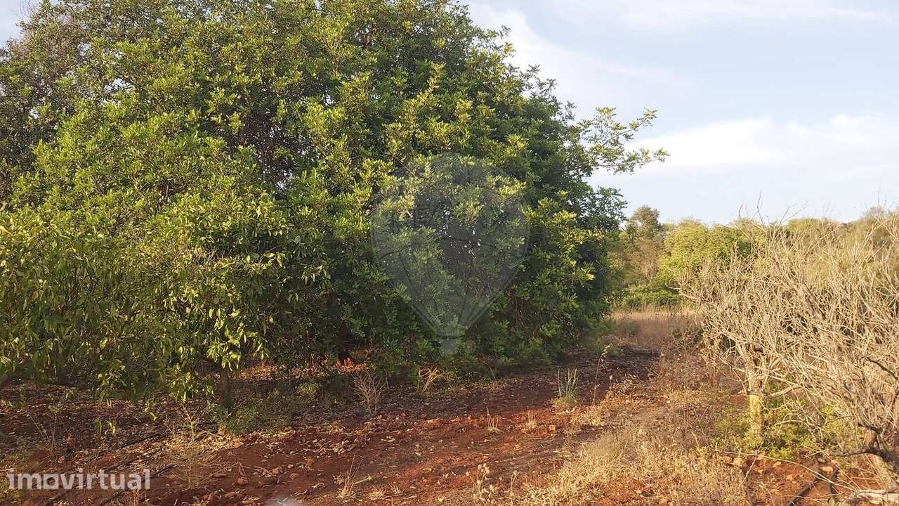 Terreno  para venda - Grande imagem: 2/13