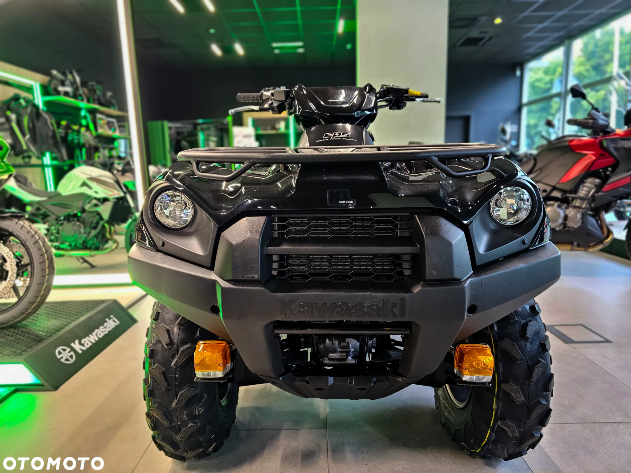 Kawasaki Brute Force - 5