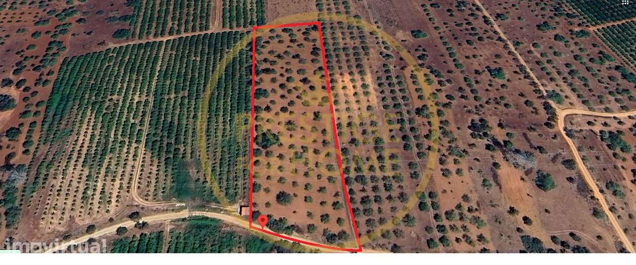 Terreno, 10 892 m², Paderne - Grande imagem: 2/15