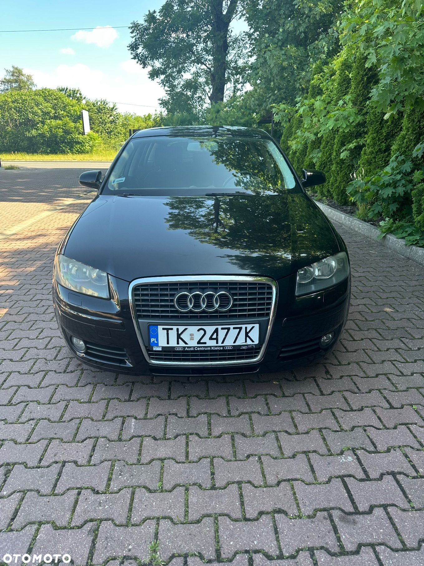 Audi A3 1.9 TDI Sportback Ambition - 2