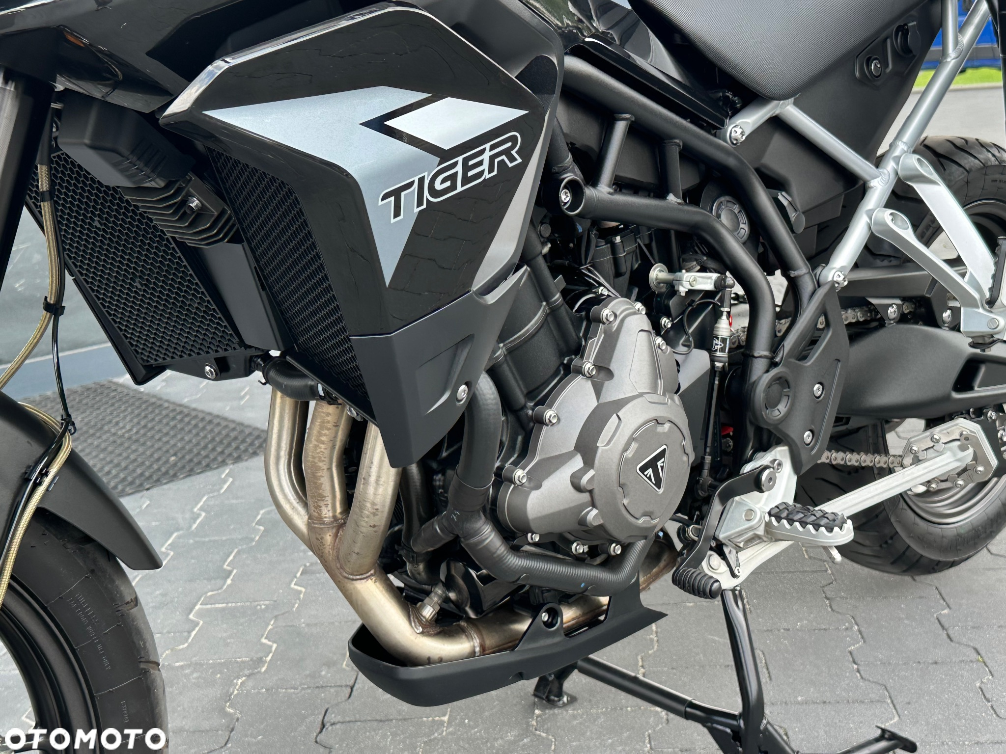 Triumph Tiger - 37