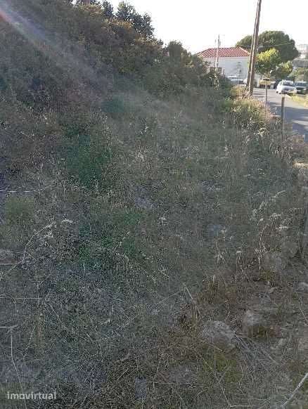 Terreno com 5 lotes - Grande imagem: 4/4