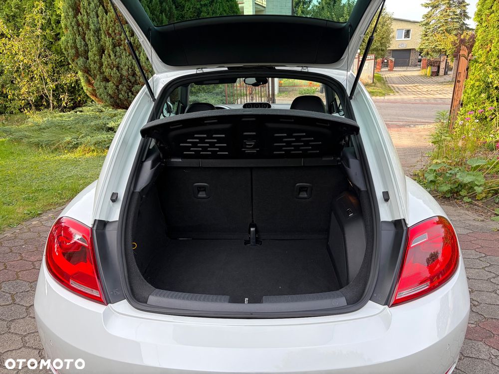 Volkswagen Beetle - 10