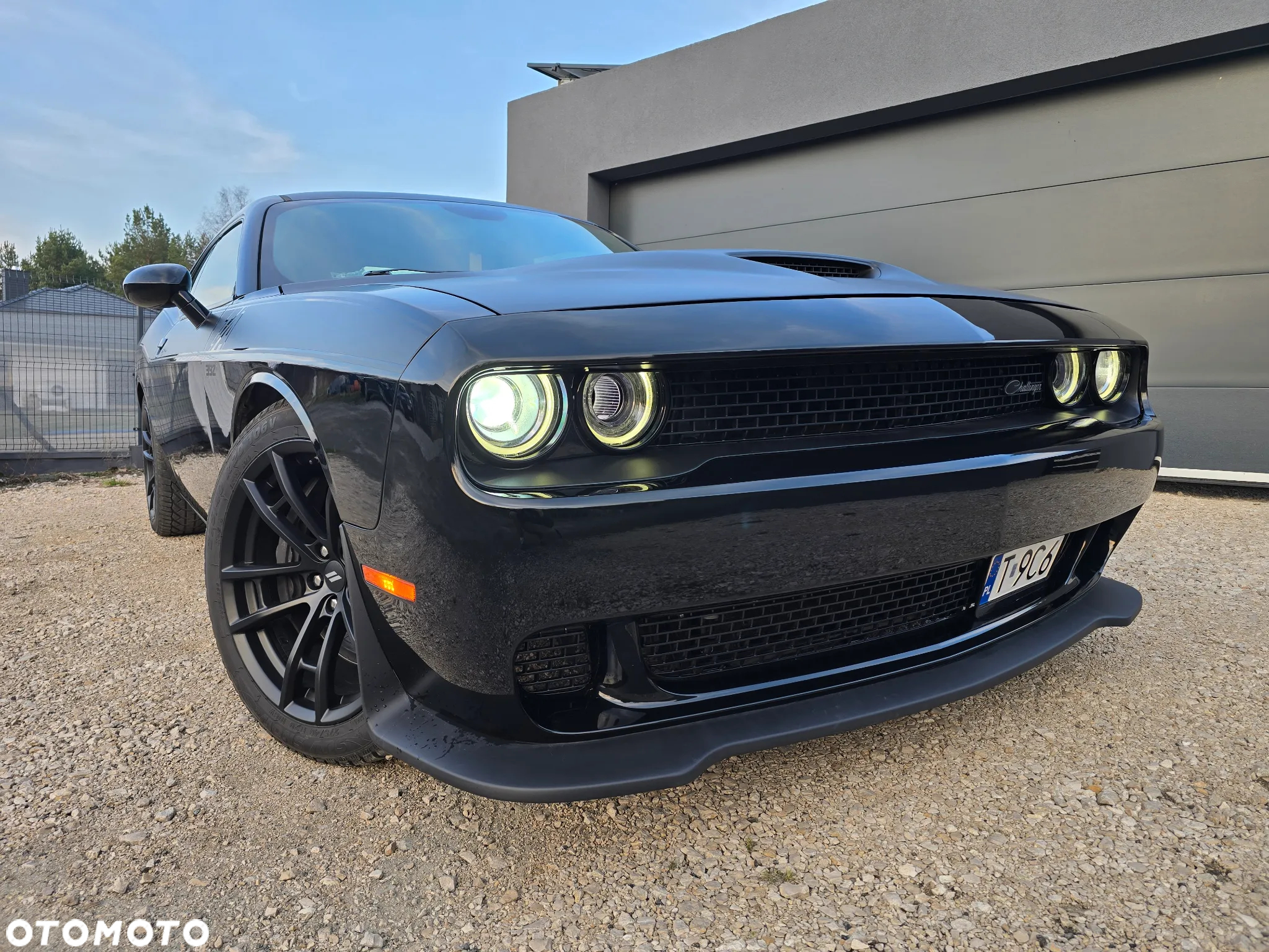 Dodge Challenger 6.4 Scat Pack T/A - 14