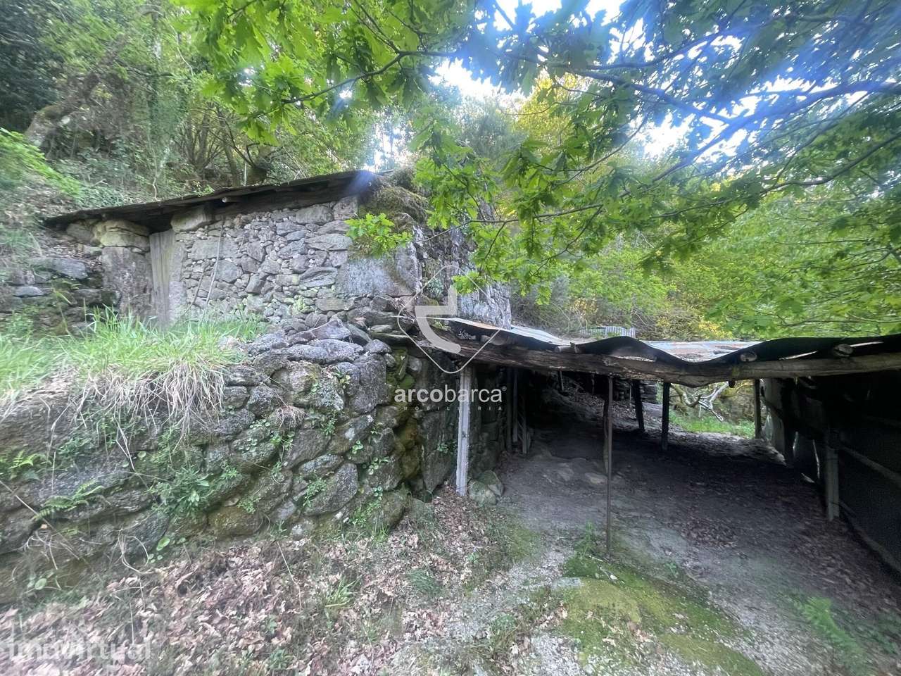 Terreno florestal - Cabreiro - Sistelo - Grande imagem: 4/12