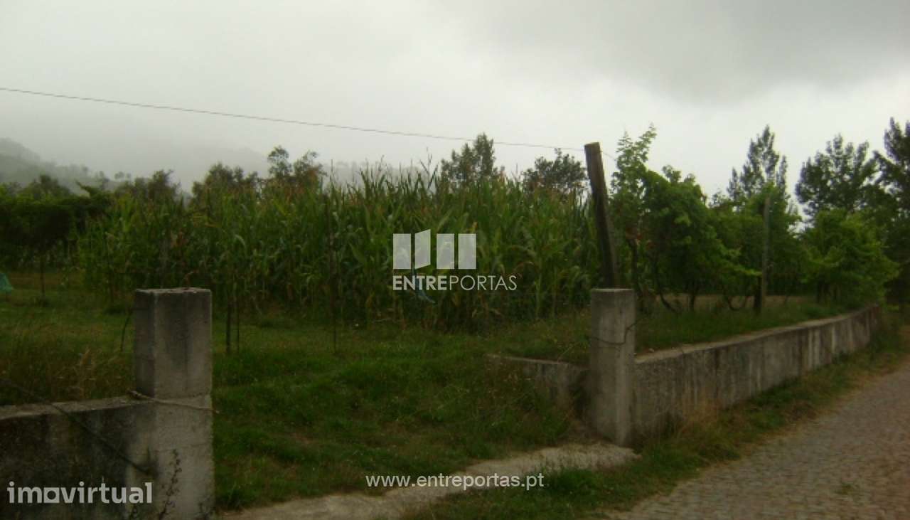 Venda Terreno, Cinfães - Grande imagem: 2/30