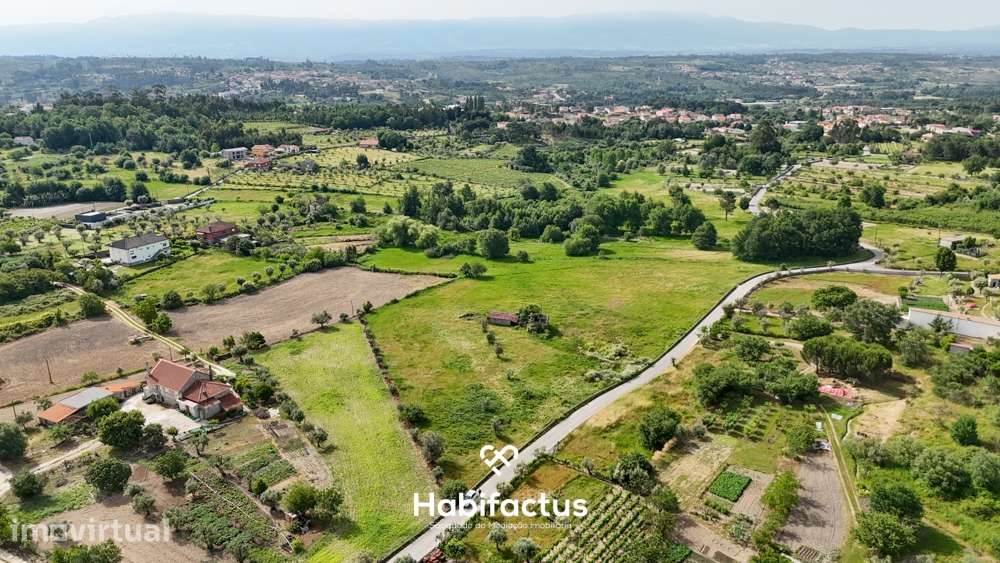 Quinta  para venda com 16.500 m² no centro de Mangualde – Oportunidade - Grande imagem: 4/14