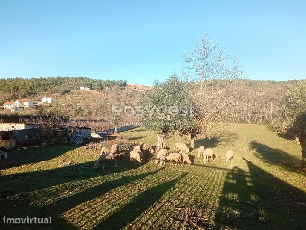 Terreno misto localizado na histórica aldeia do Souto da Casa - Grande imagem: 3/33