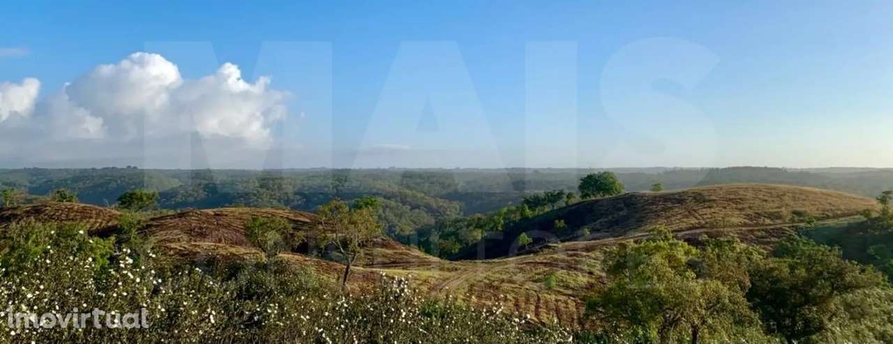 Herdade  com 40,85 hectares em São Bartolomeu da Serra, Santiago do... - Grande imagem: 3/50