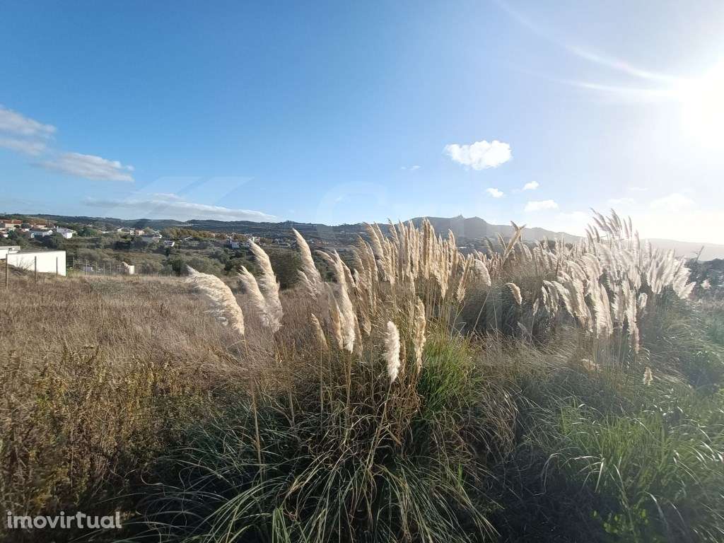 Terreno Misto com 24000- Lourel - Grande imagem: 4/6