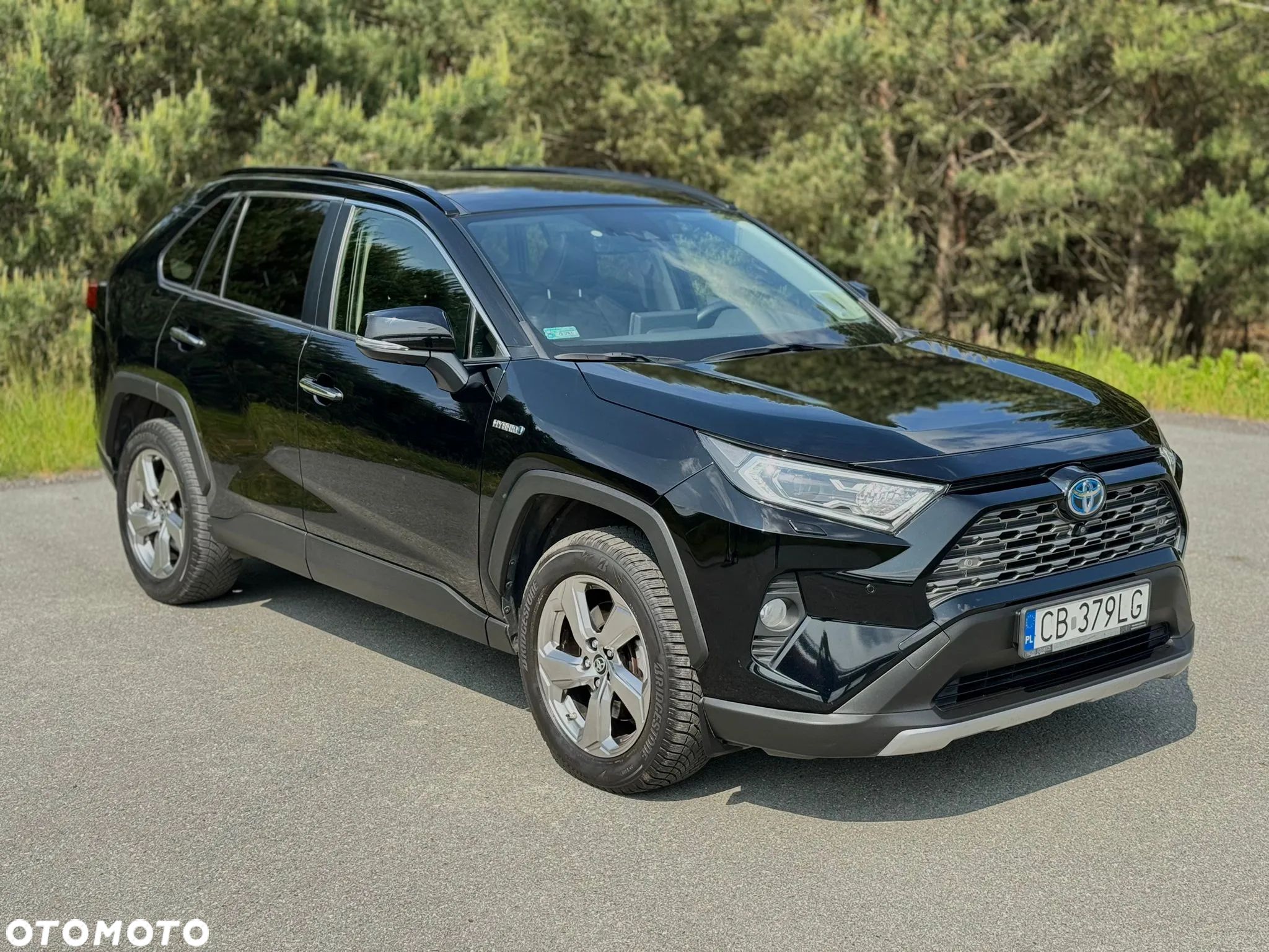 Toyota RAV4 2.5 Hybrid Executive 4x4 - 1