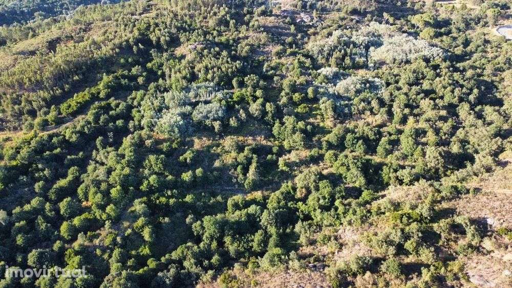 Fantástico terreno com 16ha - Grande imagem: 5/12