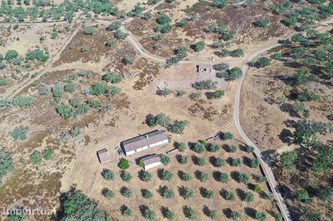 Moradia T4 Venda em Ourique,Ourique - Grande imagem: 4/39