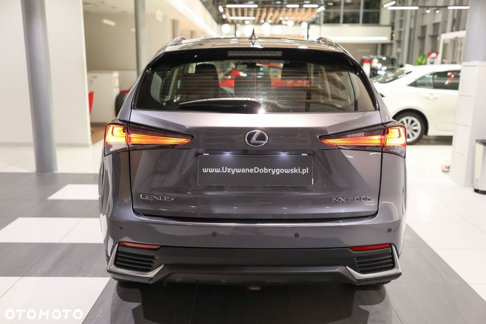 Lexus NX - 5