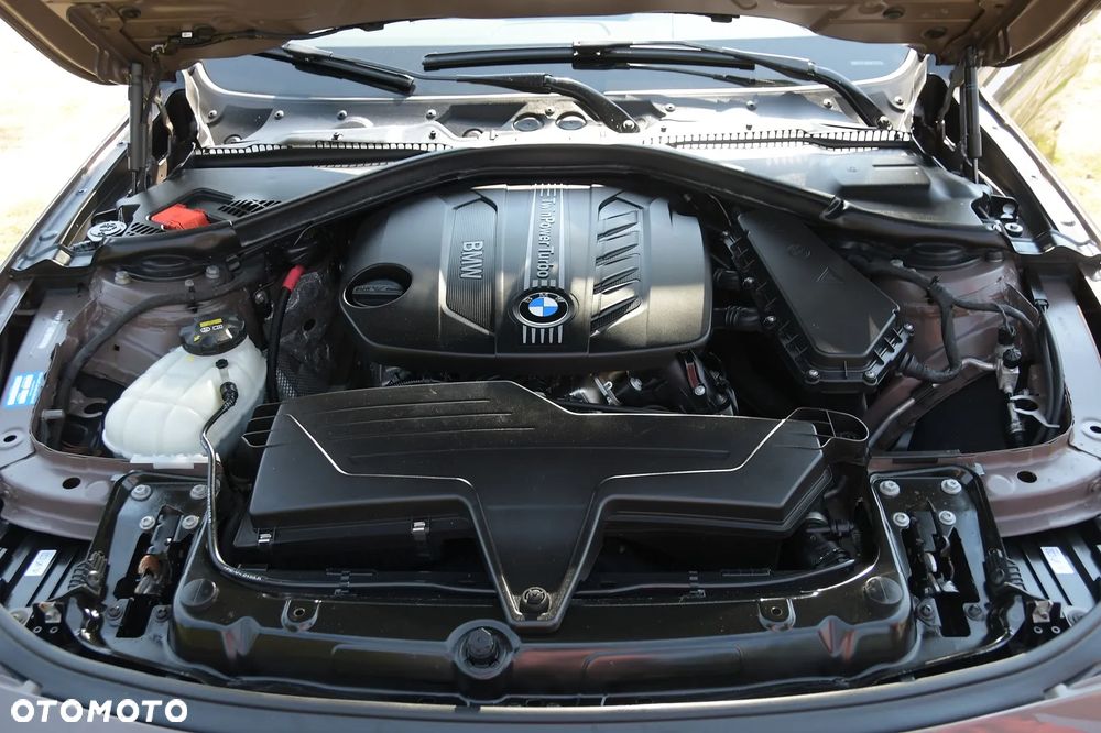 BMW Seria 3 318d Blue Performance Luxury Line - 37