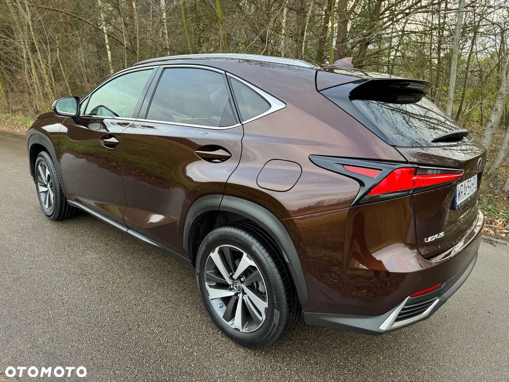 Lexus NX 300h F Impression AWD - 4