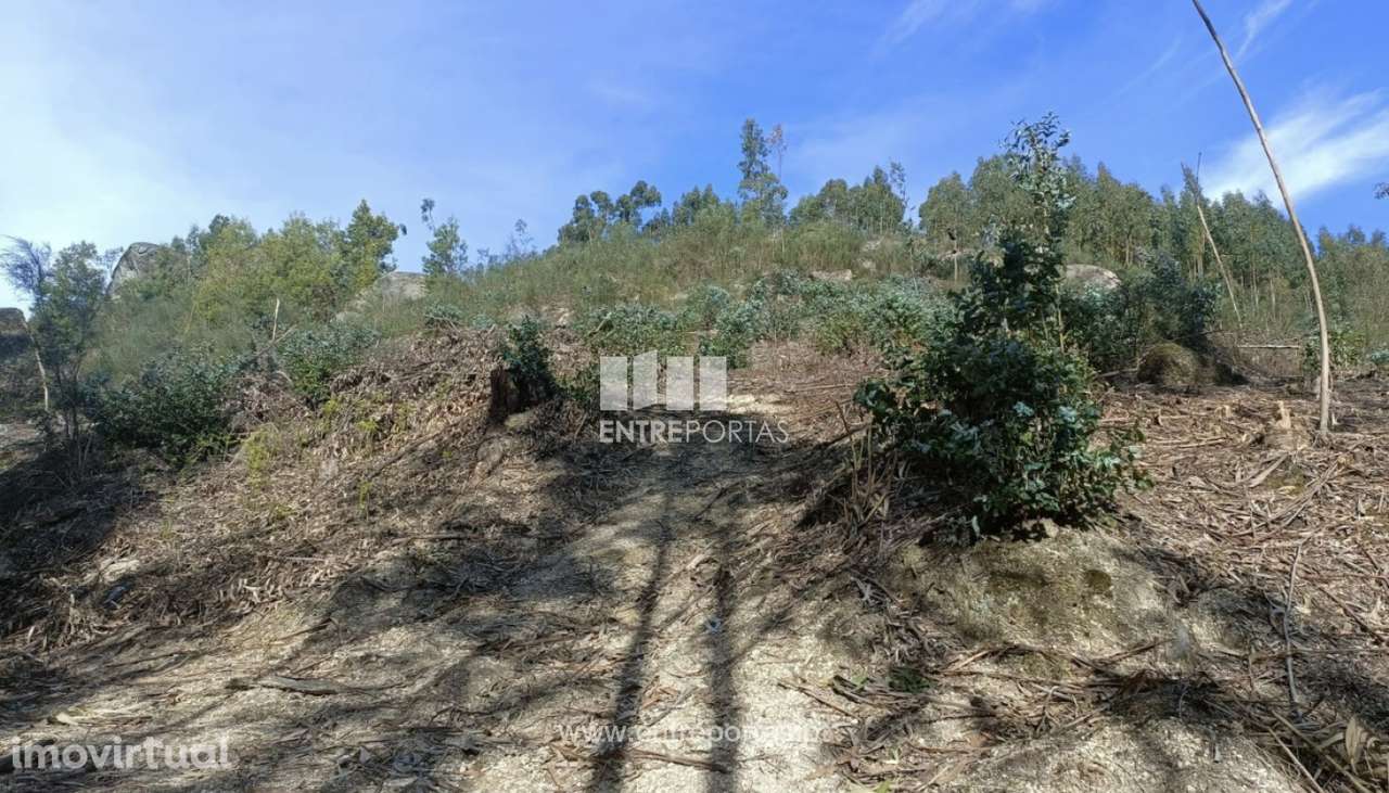 Venda Terreno  Vila Cova Penafiel - Grande imagem: 4/4