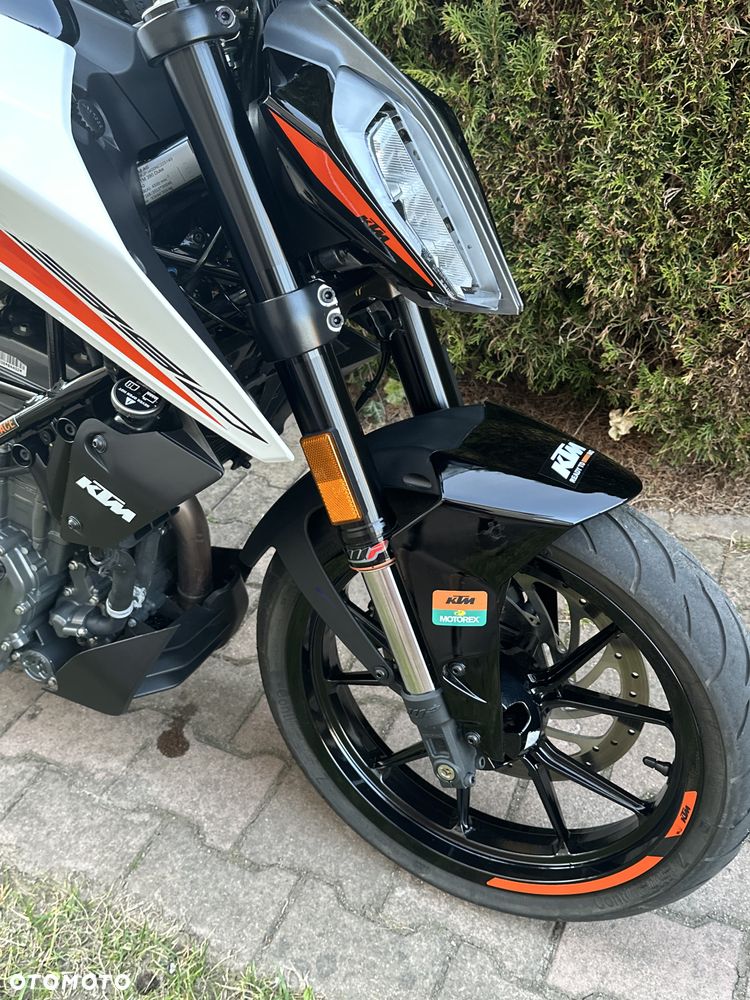 KTM Duke - 17