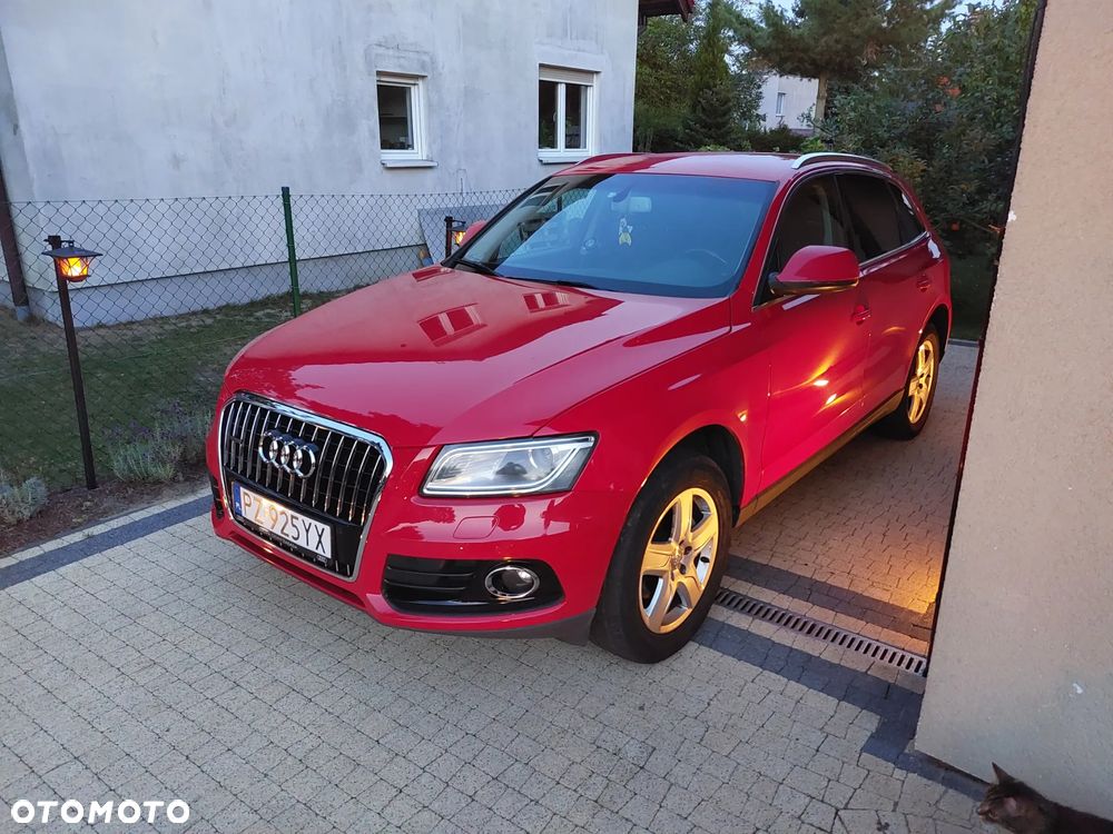 Audi Q5 - 2