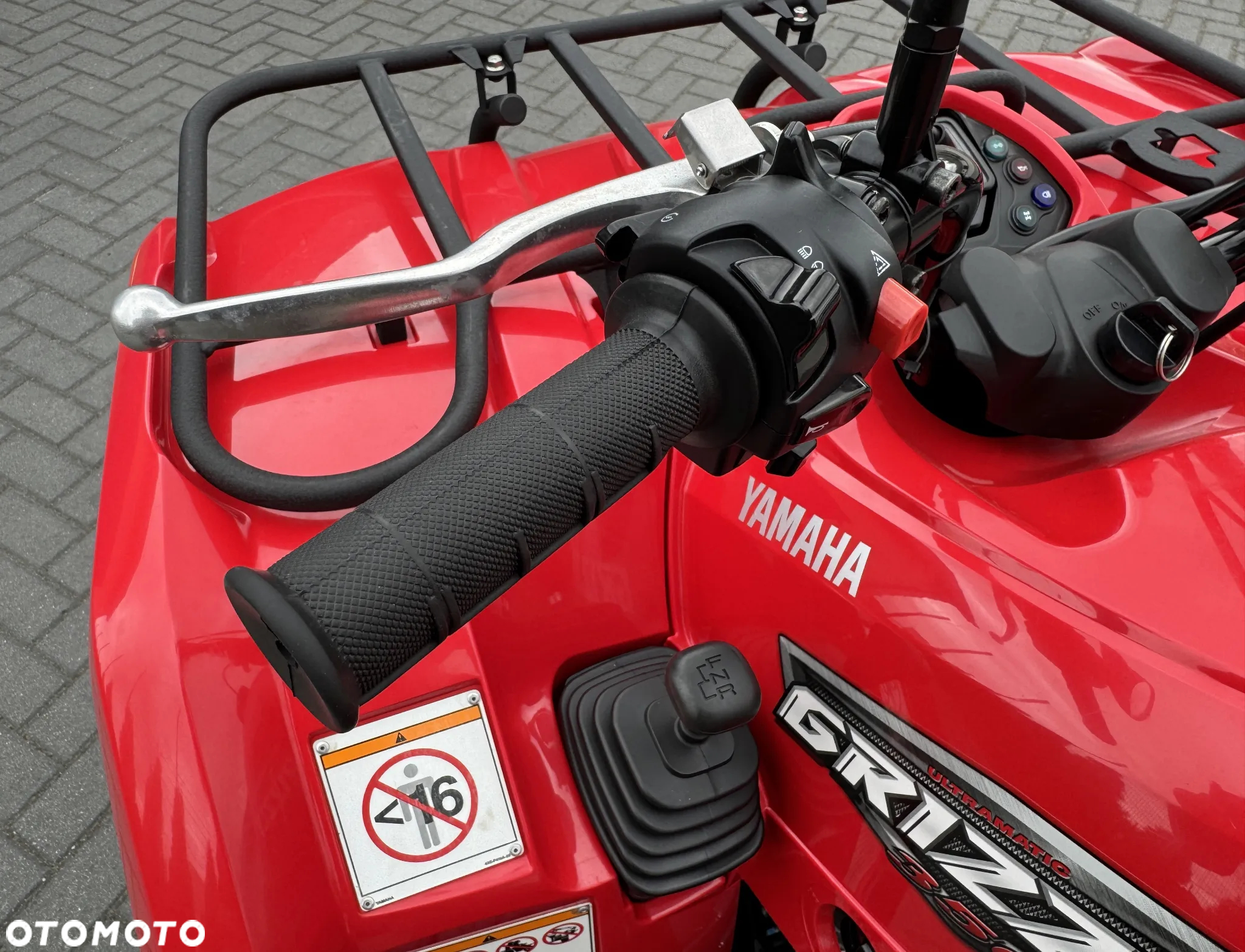 Yamaha Grizzly - 10