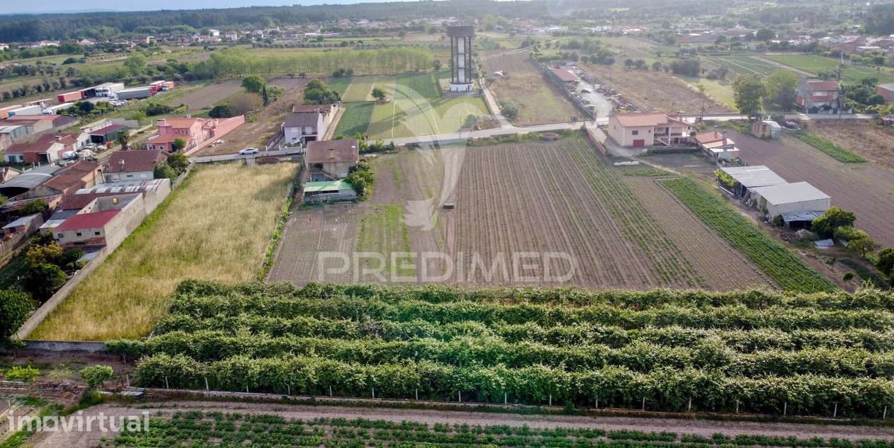 Lote em Bolho (com 2032 m2 ), Cantanhede - Grande imagem: 4/10
