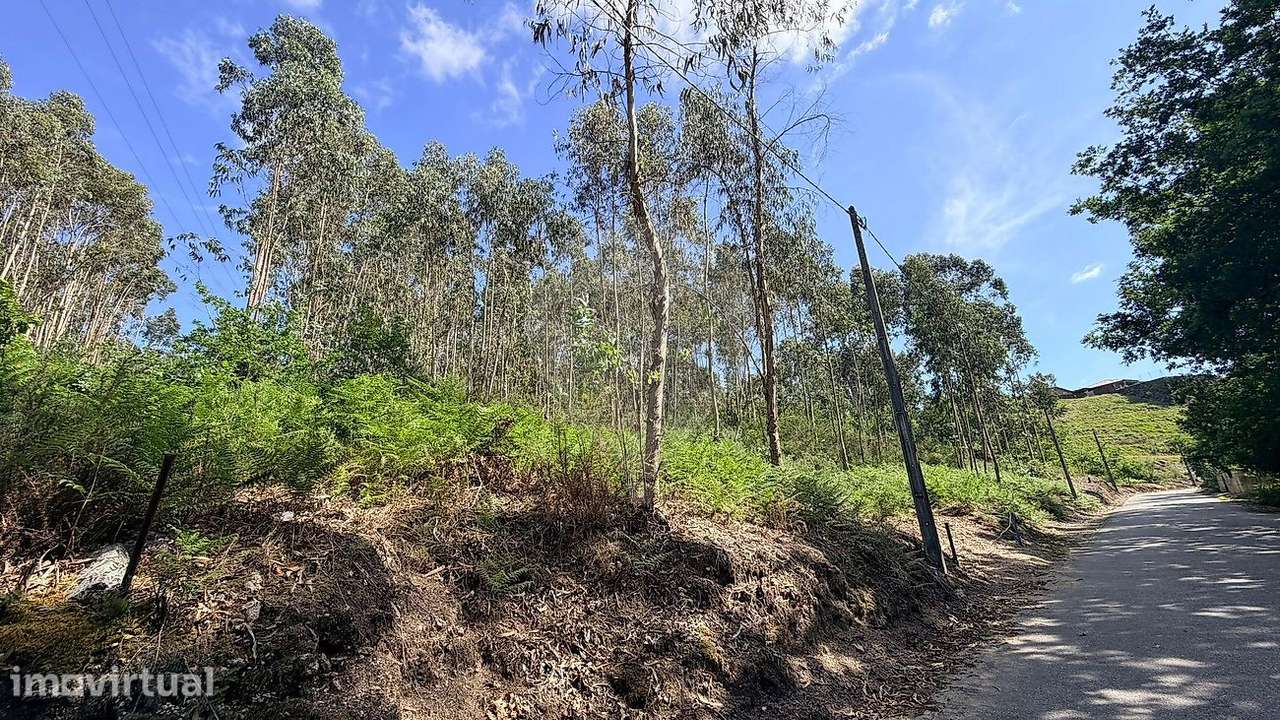 Terreno  para venda - Grande imagem: 3/4