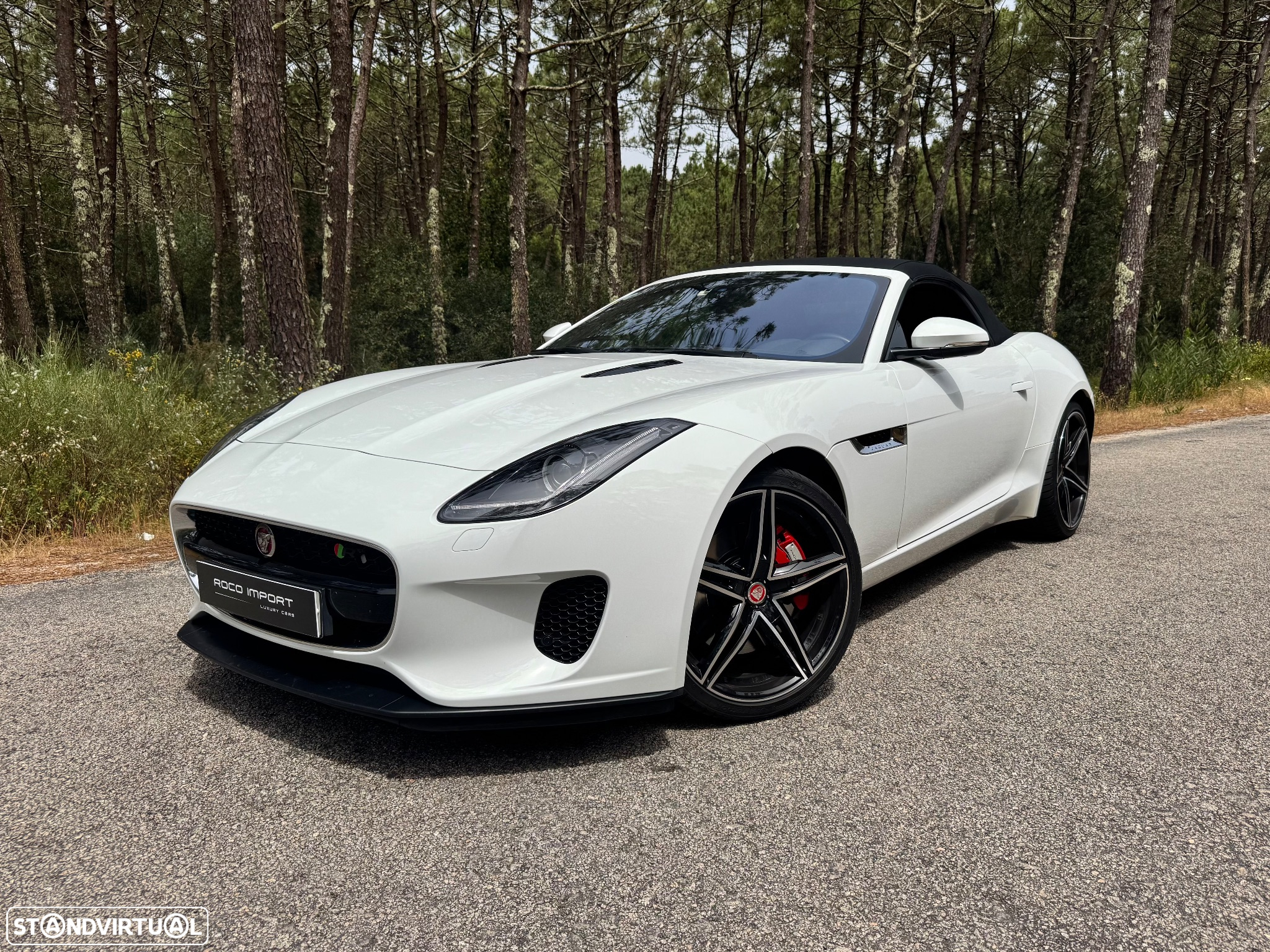 Jaguar F-Type Cabriolet P300 Aut. First Edition - 11