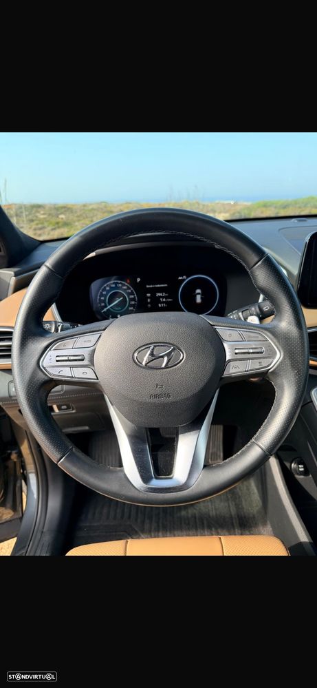 Hyundai Santa Fe 2.2 CRDi Premium - 28