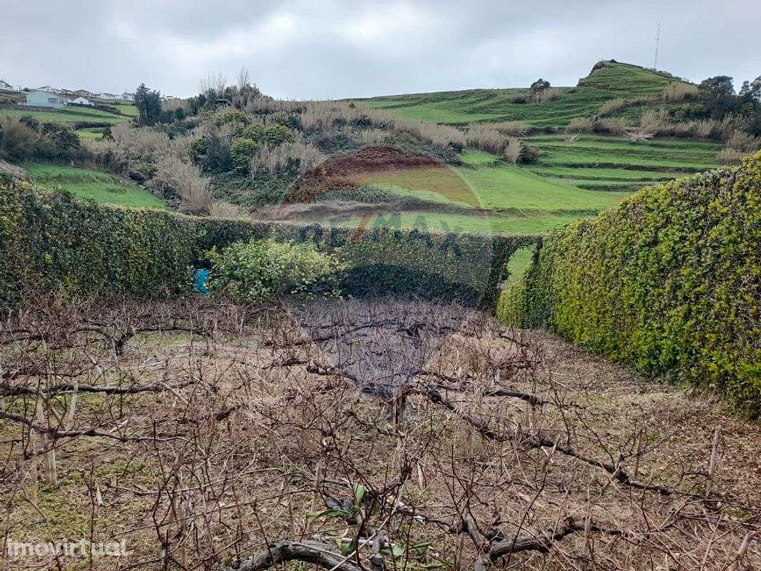 Terreno  para venda - Grande imagem: 3/7