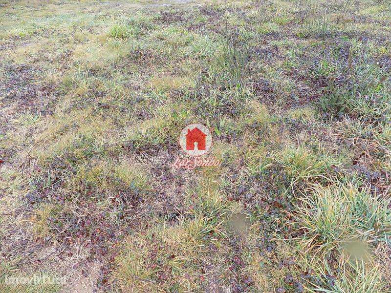 Terreno 800m2 em Cavalões - Grande imagem: 5/6